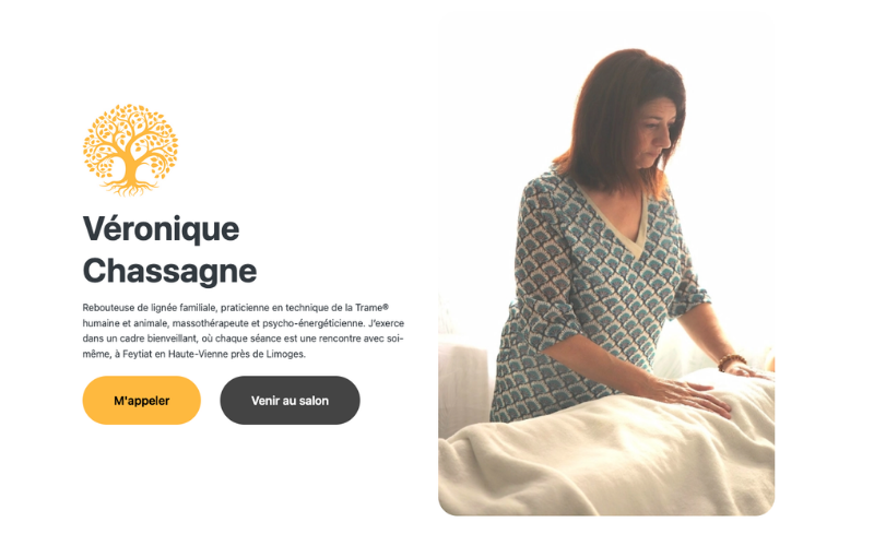 Aperçu de la page Web de Véronique Chassagne